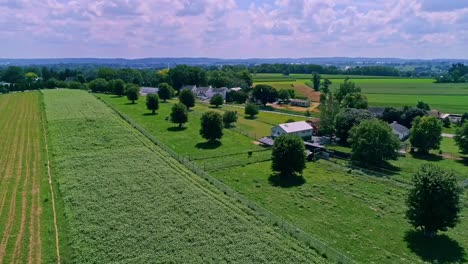 Eine-Luftaufnahme-Von-Maisfeldern-Auf-Dem-Ackerland-An-Einem-Schönen-Sommertag