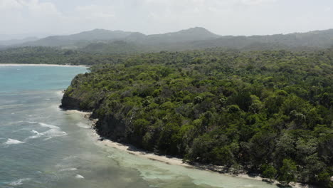 Lush-Forest-And-White-Sand-Beach-of-Playa-Teco-In-Maimon-Dominican-Republic---aerial-shot