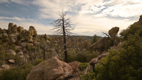 Chiricahua-National-Monument,-time-lapse-of-hoodoos-and-bare-tree