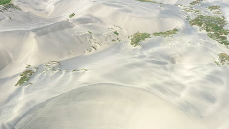 Dunes-next-to-the-ocean