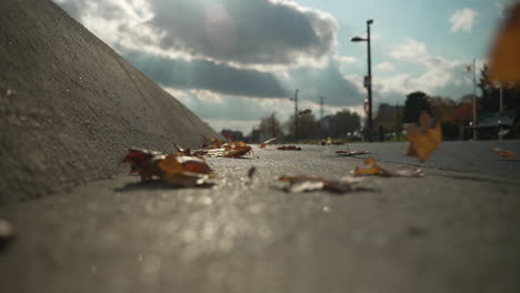 Low-angle-on-sidewalk-as-leaves-blow-towards-camera
