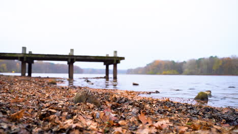 Close-Up-Of-Fallen-Autumn-Leaves-On-The-Ground-With-Wooden-Bridge-By-The-Lakeside-At-Daytime