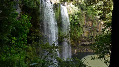 Tilt-down-shot-of-lush-Waterfall-in-deep-Jungle-Of-Kerikeri-National-Park-in-New-Zealand---People-swimming-inside-natural-pool