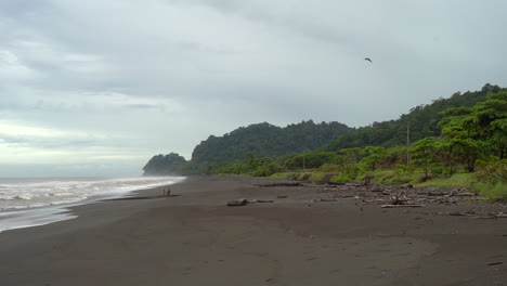 Ein-Paar,-Das-An-Einem-Ansonsten-Leeren-Schwarzen-Sandstrand-In-Costa-Rica-Spazieren-Geht,-über-Dem-Ein-Majestätischer-Vogel-Fliegt