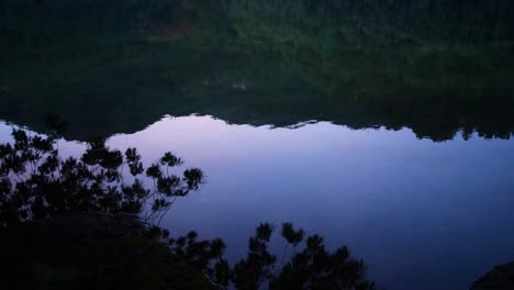 Reflexión-De-Los-árboles-Sobre-El-Lago-Tranquilo-En-Peneda---Parque-Nacional-De-Gerês