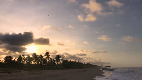 Silhouette-Von-Palmen-An-Einer-Karibischen-Küste-Bei-Sonnenuntergang