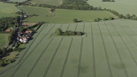 Perfectly-prepared-lush-green-farmers-fields-in-Halstead,-Castle-Hedingham,-Essex