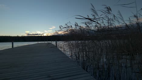 Empty-Jetty-and-Swaying-Reed-just-after-Sunset,-Low,-Static