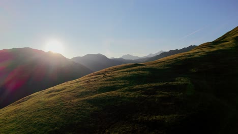 Kuhherde-Auf-Einer-Bergwiese-Bei-Sonnenuntergang
