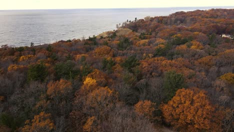 Aerial-of-late-autumn-trees