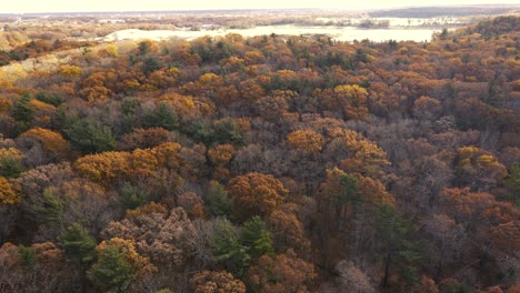 Aerial-of-the-autumn-colors-in-the-latter-half-of-the-season