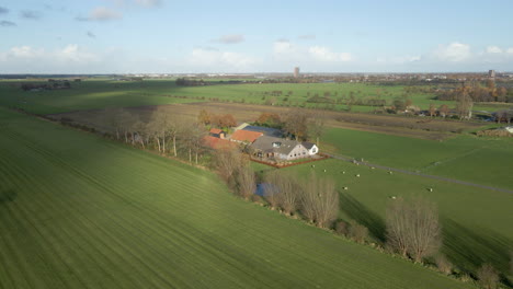 Aerial-of-a-beautiful-farm-with-sheep-standing-in-green-meadows