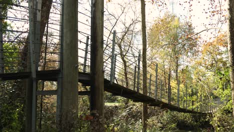 Große-Hängebrücke-über-Einen-Fluss-Im-Wald-Während-Der-Herbstsaison