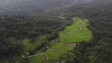 Aerial-Shot-Of-Farming-Lands-On-Mountain-Valley-Forest-In-Nagaland