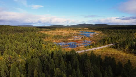 Pine-tree-forest-with-marshes-and-car-traveling-on-the-road,-aerial-view