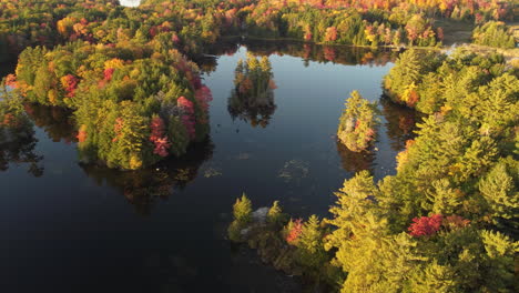 Aerial-pan-of-colorful-autumn-forest-and-still-dark-lake-in-Canada