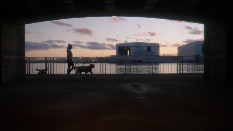 Woman-and-dog-on-walk-at-sunset-at-waterfront-property-overlooking-framed-by-concrete-structure-with-large-ship-in-background-in-mobile-Alabama-seaport-in-slow-motion-4k
