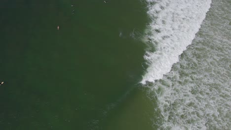 Luftaufnahme-Von-Surfern,-Die-Meereswellen-Am-Strand-Von-Cabarita-In-New-South-Wales,-Australien,-Reiten---Drohnenaufnahme