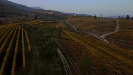 Flying-above-scenic-yellow-and-green-vineyard-fields-on-hills-in-Valpolicella,-Verona,-Italy-in-autumn-after-grape-harvest-for-Ripasso-wine-by-sunset-surrounded-by-traditional-farms