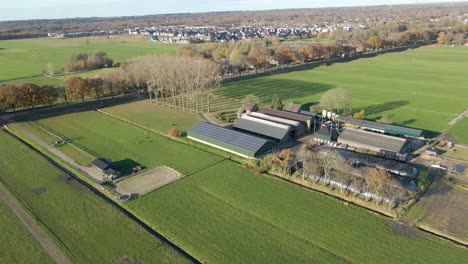 Flying-towards-a-farm-with-solarpanels-on-roof-of-barn-in-rural-holland