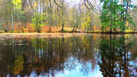 Herbstnatur,-Dänische-Waldseenlandschaft,-Zeitraffer-Der-Wasserbewegung
