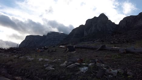 Cut-Tree-Logs-Scattered-On-The-Ground-Near-Table-Mountain-In-Cape-Town,-South-Africa