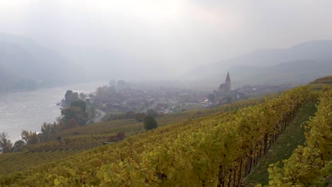 Slow-pan-across-beautiful-vineyards-and-foggy-town-with-river-in-distance