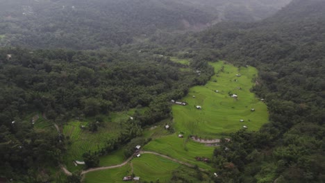 Aerial-Shot-Of-Thick-Forest-On-The-Mountain-Valley-In-Nagaland,-India