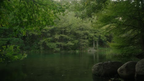 Magical-serene-misty-green-forest-and-swimming-hole-in-Texas-slow-motion-handheld-view-of-shore-and-lake-in-4k
