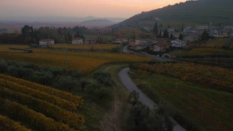 Aerial-drone-flying-above-scenic-yellow-and-green-vineyard-fields-on-hills-in-Valpolicella,-Verona,-Italy-in-autumn-after-grape-harvest-for-Ripasso-wine-by-sunset-surrounded-by-traditional-villages
