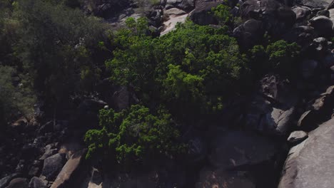 Landscape-At-Granite-Gorge-Nature-Park-In-North-Queensland,-Australia---aerial-drone-shot