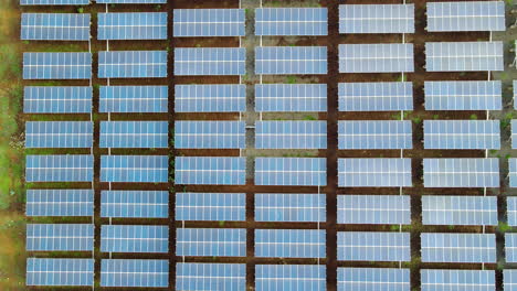 Antena-De-Arriba-Hacia-Abajo-De-Muchos-Paneles-Solares