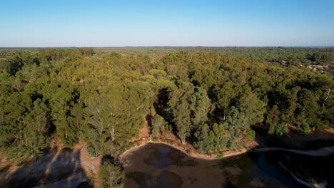 Steigende-Enthüllen-Drohne-Ansicht-Portugiesische-Waldbäume-Mit-Spärlichen-Bereichen-Goldener-Stundensonnenuntergang