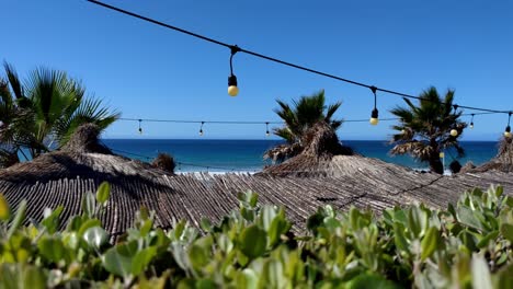 Resort-Frente-Al-Mar-Con-Palmeras-Meciéndose-En-El-Viento-Y-El-Océano-En-El-Fondo