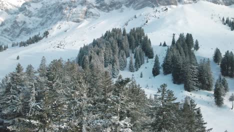 Montaña-Suiza-Saentis-En-Los-Alpes-Con-Nieve-Fresca-Y-Niebla