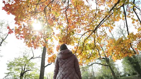 Girl-looking-up-at-the-beautiful-fall-leaves