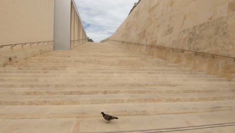 Stairs-at-City-Gate-of-Valletta,-Malta