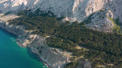 Lush-Green-Forest-On-Rocky-Mountains-In-The-Island-Of-Krk-In-Croatia