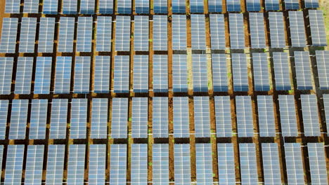 High-Top-down-aerial-of-a-lot-of-solar-panels