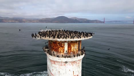 Aerial-drone-view-of-a-lighthouse-topped-with-bird,-in-sunny-San-Francisco,-USA