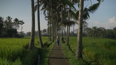 Fit-European-female-traveler-taking-stroll-along-scenic-path-with-coconut-trees,-Bali