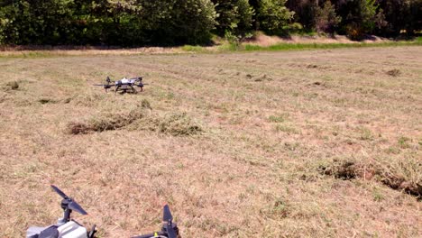 Two-high-tech-professional-drone-specialized-in-agriculture-fertilization-perched-on-the-ground-in-a-field-of-crops