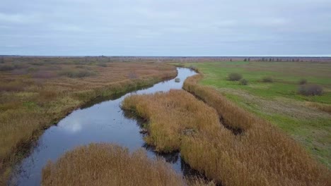 Aerial-establishing-view-of-Barta-river-delta,-calm-water-flow,-dry-yellow-reeds-on-the-coast,-overcast-autumn-day,-idyllic-feeling,-wide-angle-drone-shot-moving-forward-slow