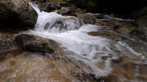 Detailed-static-shot-of-crystal-clear-mountain-stream-rocky-waters-flowing-rapidly-into-the-forest-in-4K