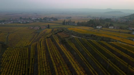 Aerial-drone-flying-above-scenic-yellow-and-green-vineyard-fields-on-hills-in-Valpolicella,-Verona,-Italy-in-autumn-after-grape-harvest-for-Ripasso-wine-by-sunset-surrounded-by-traditional-farms-in-4K
