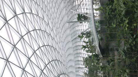 vertical-video-of-tropical-rainforest-indoor-garden-environmental-conservation