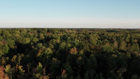 Aerial-drone-flying-over-a-dense-green-forest-along-rural-landscape-during-an-autumnal-evening-time