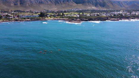Ecotourism-in-Hermanus---kayakers-paddle-close-to-whales