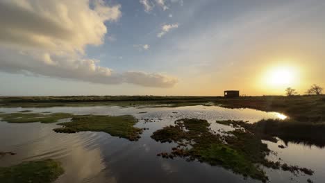 Golden-sunset-view-of-bog-shallow-marshlands-lands-with-a-small-brick-built-building,-Coastal-scene-with-golden-sunset,-shallow-rippling-water,-ducks-and-lush-plant-life