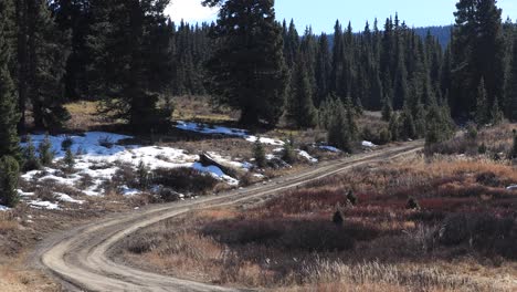 4K-Rocky-Mountain-Two-Track-Road